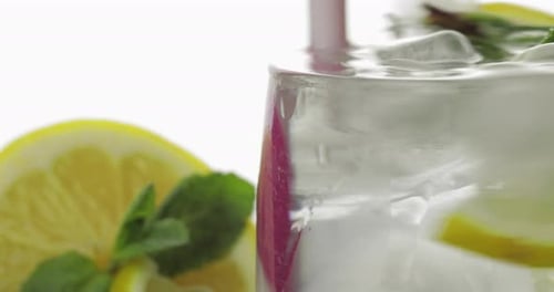 Refreshing Lemonade Drink With Lemon and Mint