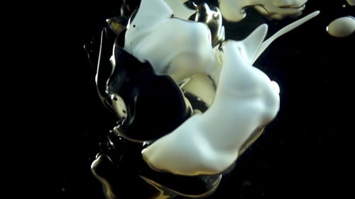 Black And White Paints
