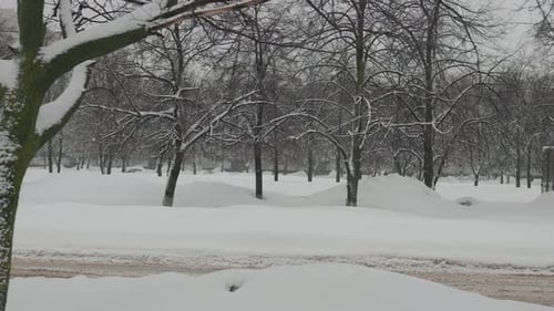 Long and Heavy Snowfall in the City