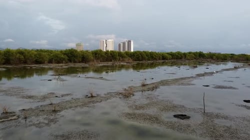 Aerial view dry water at wetland