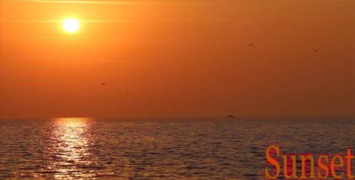 Ocean Sunrise with Birds and Distant Boat