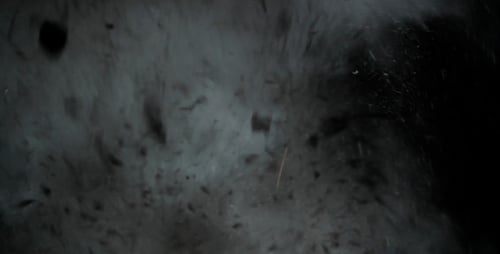 Dramatic Animated Smoke Swirls on a Dark Background