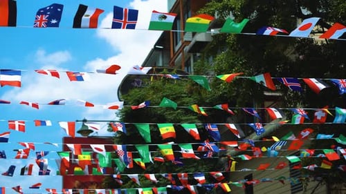 Colorful Country Flags Fluttering along City Street