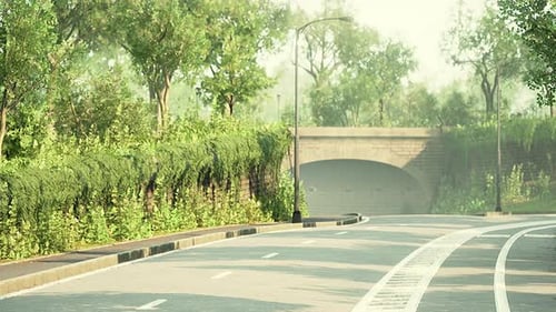 View of Empty Road with Lamp Post and Sunlight