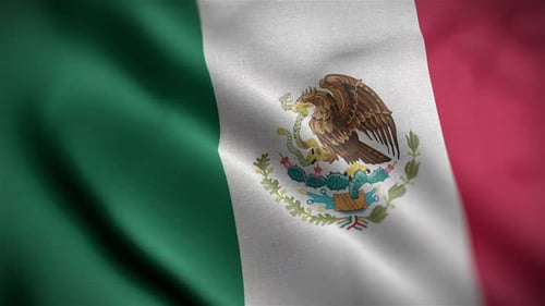 Seamless Loop of Waving Mexico National Flag