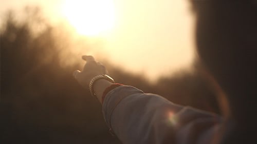 Hand Reaching for Sunlight During Golden Hour
