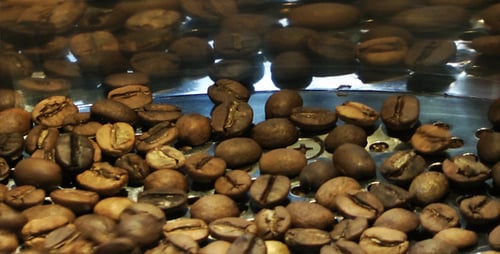 Coffee Roasting Machine 6