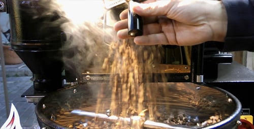 Freshly Roasted Coffee Beans being Transferred