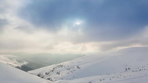Winter landscape with snow covered trees