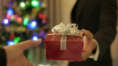 Giving Christmas Present in Front of Tree