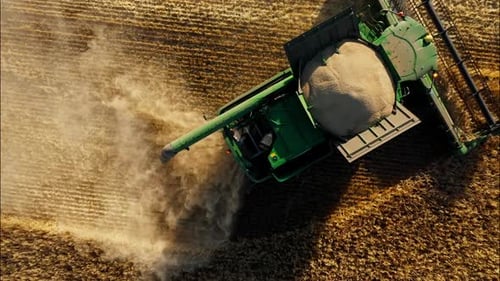 Combine Harvesting Wheat Top View of a Wheatfield