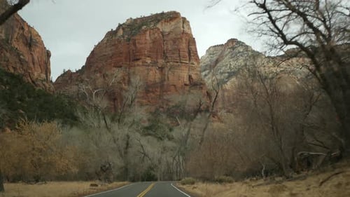 Autoreise im Zion Canyon, Utah, USA
