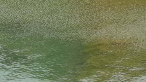 Water In Lake