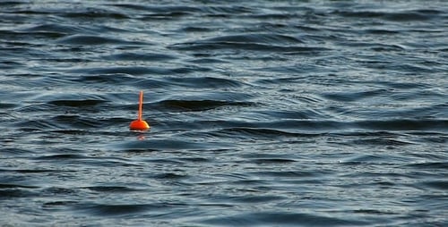 Orange Fishing Bobber Drifting on Calm Lake