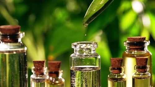 Óleo essencial pingando em uma garrafa