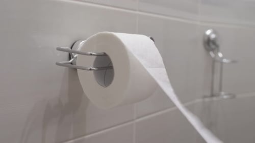 Woman Uses a Roll of Toilet Paper in the Toilet