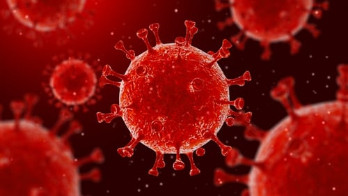 Animated Red Virus Cells Loop in Microscopic Environment
