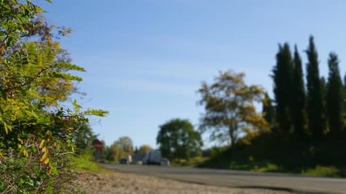 Rural Road with Cars Passing on Sunny Day