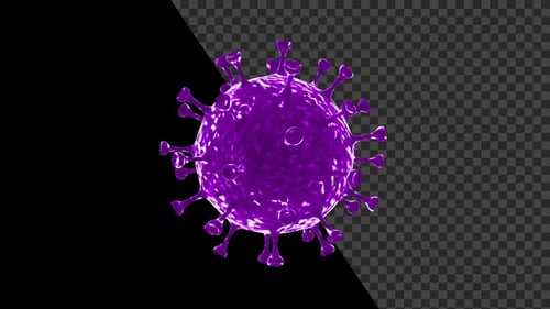 Corona Virus Visualization Covid 19 V16
