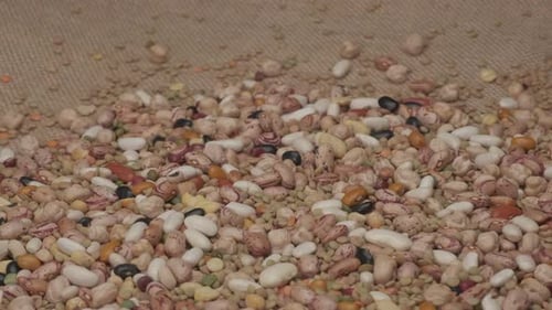 Colorful Dried Beans and Legumes Close Up