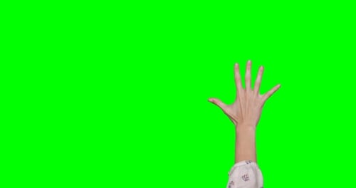 Woman's Hand Gesturing Against Green Screen Background