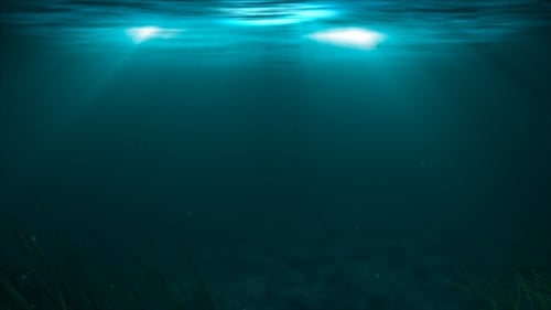 Underwater Ocean