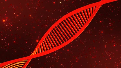 Animated Red DNA Double Helix Rotation Loop