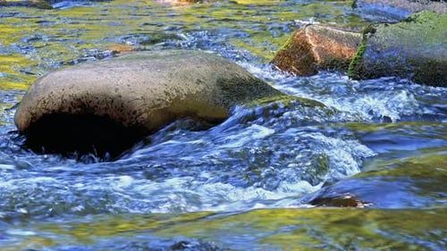 Closeup of River Between Stones in Forest - Detail of Flowing Water