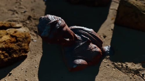 Ancient Woman Bust at Sand Beach