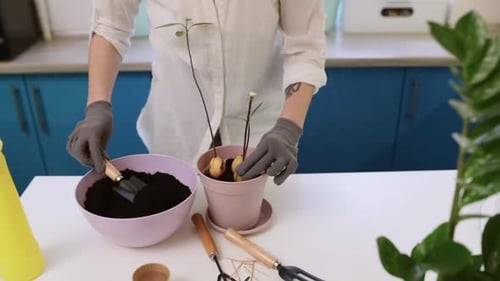 A Cute Girl Transplants a Plant at Home in Garden Gloves