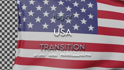 Waving American Flag Reveal Transition