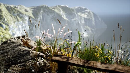 Fresh Grass at Big Rocky Cliff in Ocean