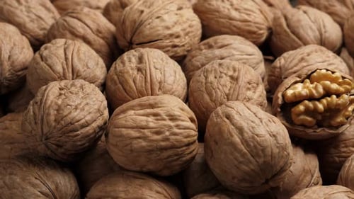 Whole Walnut Closeup