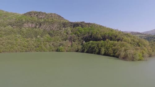 Aerial Forest and Lake