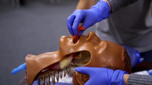 Medical airway training using manikin