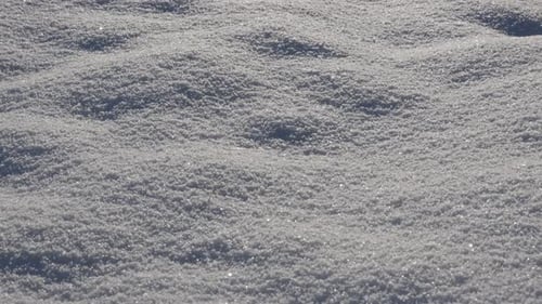 Beautiful White Snow on a Sunny Winter Day