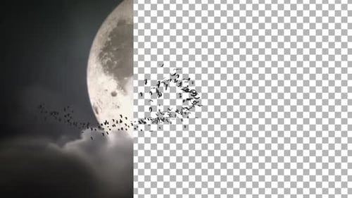 Animated Bats Flying In Spooky Moonlit Sky For Halloween