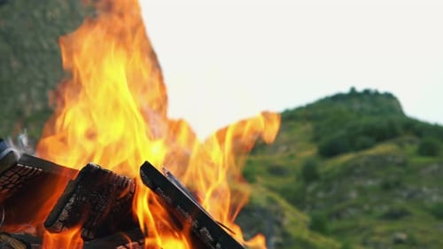 Campfire Burning Brightly with Forest Background