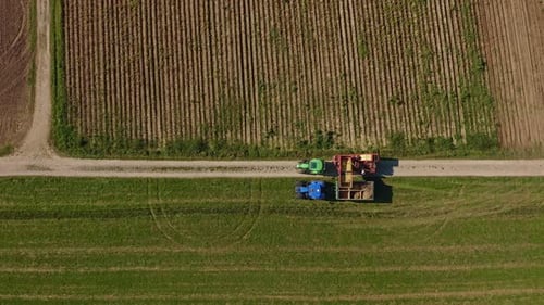 A potatoe cropping tractor with its trailer delivers its harvest to another tractor, which is the co