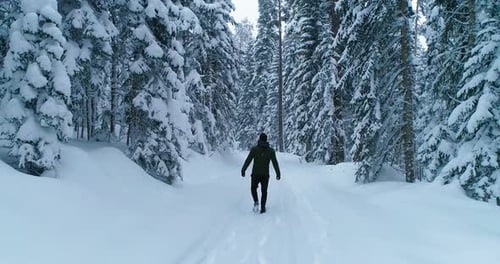 Man Walks Through Snowy Winter Forest