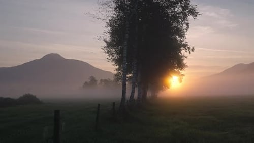 Glowing Sunrise Over Misty Meadow