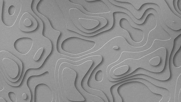 Cover for Gray Background Loop