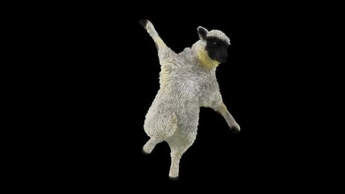 Funny 3D Dancing Sheep Character Animation Loop