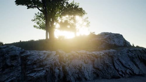 Trees on Rocks in Mountains at Sunset