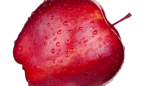 Frischer roter Apfel mit kleinem Stiel und Wassertropfen auf Weiß