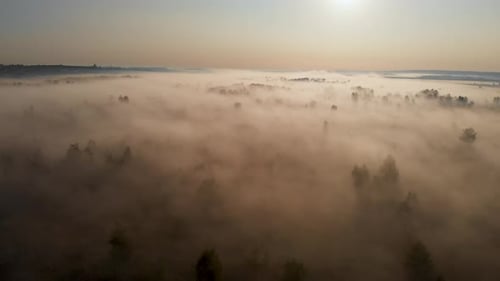Epic aerial view of sunrise fog covering field with trees