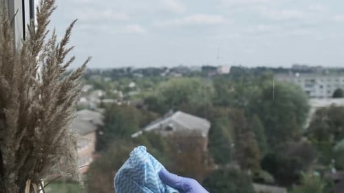 Cleaning the Window