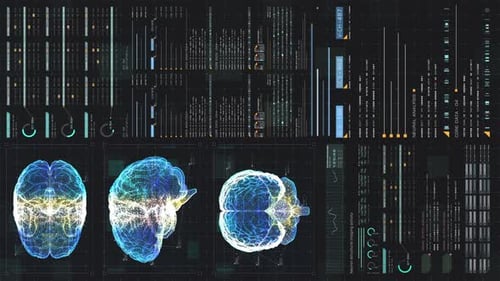 Futuristic Digital Human Brain Scan HUD Interface