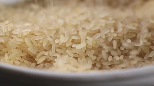 Raw Rice Grains
