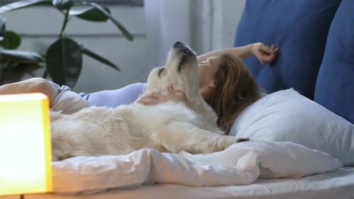 Lovely Woman with Labrador Dog Waking Up in Bed